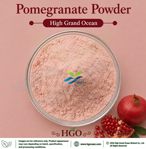 Suministro Directo de Fábrica HGO de Polvo de Granada (Grado Alimenticio), Polvo de Fruta Secado por Aspersión o Liofilizado - Product Image 1