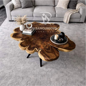 Hermosa Mesa de Centro de Madera de Palisandro con Patas de Hierro, Diseño Moderno y Minimalista para Muebles de Sala de Estar - Product Image 3