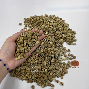 Café Vert Robusta au Goût Intense Récolte Fraîche OEM Marque Privée Vente en Gros Meilleur Prix Compétitif - Product Image 1