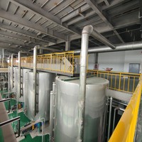 Nouvelle Presse à Huile Automatique Économe en Énergie Taixin pour Graines de Tournesol et de Lin, Capacité 1000 kg/h, Hebei, Puissance 75 kW, Garantie 1 An