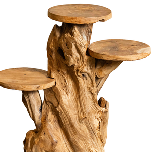 ARTERRA Premium Organic Teak Root Rustic Display Stand Handcrafted Solid Wood <b>Indoor</b>/Outdoor Home <b>Decor</b> - Product Image 2