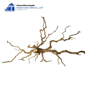 Meilleure Vente Décoration Naturelle en Bois Flotté Maison en Bois de Haute Qualité Énorme Bois Flotté pour Aquariums Vente en Gros Direct Fabricant Vietnamien - Product Image 4
