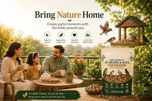 Mélange Premium de 10 Grains et Noix pour Oiseaux 1kg – Recharge Naturelle pour Mangeoire à Oiseaux Sauvages et d'Appoint – Mélange de Graines Nutritives en Gros - Product Image 6