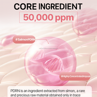 Sérum Ampoule Coréen Premium PDRN 5% Niacinamide Peptide ADN de Saumon Hydratant Éclatant pour le Visage Femme OEM/ODM Marque Privée Or