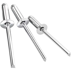 Remaches ciegos de cabeza abierta de acero inoxidable, esenciales para un fijado seguro, con brida grande y cúpula - Product Image 1