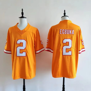 Camiseta de Béisbol Bordada Personalizada, Deportiva Universitaria, Estilo USA Arizona, Poliéster Antibacteriano, Cuello en V, 180g, para Hombres, Mujeres y Adultos - Product Image 5