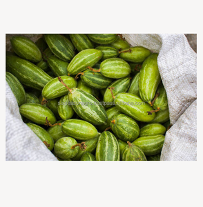 Calabaza Verde Fresca de Primera Calidad de Bangladesh, Calidad de Exportación, Proveedor Directo de Granja, Seis Estaciones, Agro - Product Image 2