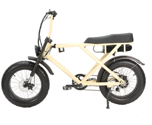 Vélo à double moteur de 20 pouces haut de gamme à vendre - Product Image 1