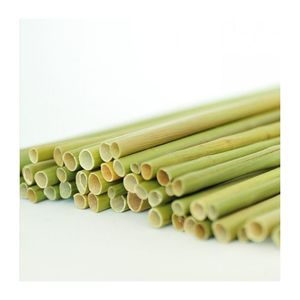 Pailles en bambou/herbe/légumes naturels en vrac, écologiques, réutilisables, tubes à boisson durables pour la restauration - Product Image 3