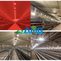 Système de contrôle d'éclairage LED pour volailles, ampoule pour poulailler à intensité variable, indice de protection IP67, CRI>80, garantie 5 ans, AC/DC, éclairage complet rouge chaud pour grange