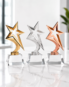Trophée étoile en acrylique bronze Champion personnalisé, imprimé offset, recyclable, durable, magnifique récompense de reconnaissance - Product Image 4