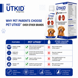 PET UTKID น้ำยาบำรุงสุขภาพไตและระบบทางเดินปัสสาวะสำหรับสุนัขและแมว 200 มล. ช่วยลดการเกิดนิ่วในไตด้วยสารสกัดจากสมุนไพร สูตร 3 ประสิทธิภาพ - Product Image 4