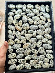 Jaspe Dálmata Natural, Piedras Preciosas Sueltas al por Mayor, Lote a Granel, Corte Cojín Pulido para Suministros de Joyería - Product Image 5