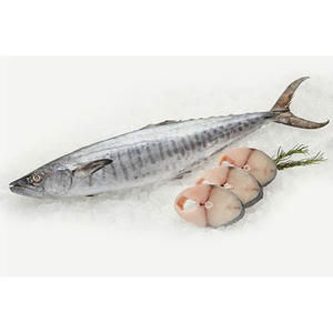 Poisson-roi congelé de haute qualité à prix abordable, prêt à l'exportation, viande de poisson-roi pour la vente en gros - Product Image 2