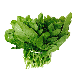 Semillas de Espinaca Moon Star All Green - Vida útil de 2 años - Product Image 1