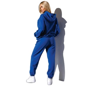 Femmes 2 pièces velours sweat à capuche pantalon survêtement ensemble solide motif zippé survêtement avec dentelle décoration velours pour salon porter - Product Image 6