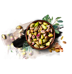 Diced Pistachio Kernels for <b>Snack</b> <b>Bar</b> Manufacturers - Product Image 2