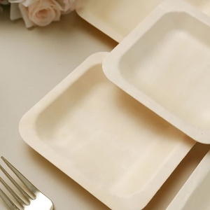 Assiettes carrées compostables en fibre de palmier Areca de 8 pouces – Écologiques, jetables, robustes pour la rentrée scolaire, la restauration et le service de collations - Product Image 1