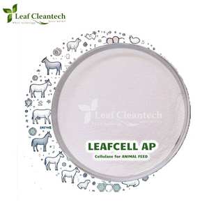 Enzyme cellulase pour l'alimentation animale-Amélioration de la digestion et de l'efficacité de l'alimentation en provenance d'Inde | Enzymes d'alimentation | Enzymes d'alimentation animale | - Product Image 1