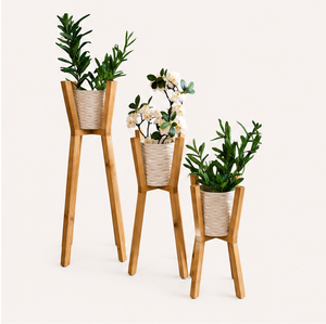 Ensemble de 3 supports pour plantes, porte-pots de fleurs modernes pour l'intérieur, support pour plantes en bois écologique pour la décoration du salon et du balcon - Product Image 2