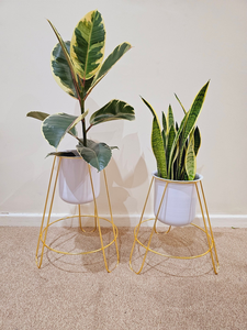 Jardinières en métal blanc nacré avec supports trépieds dorés, pots de fleurs décoratifs modernes pour salon, chambre et bureau - Product Image 1