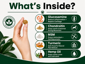 Complément alimentaire multivitaminé à base d'huile de chanvre pour chiens et chats, à croquer, pour toutes les races, supplément vitaminique quotidien, santé immunitaire, peau, pelage, articulations, absorption rapide - Product Image 6