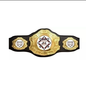 เข็มขัดแชมป์ MMA มวยปล้ำ คุณภาพพรีเมียม รุ่นหนักพิเศษ ปี 2026 สายหนัง ปรับแต่งโลโก้ได้ ผลิตในปากีสถาน - Product Image 5