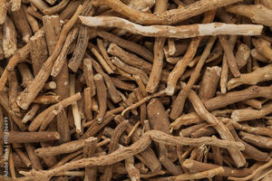 Ashwagandha cruda al por mayor, raíces de Ashwagandha puras y naturales, 100% auténticas, proveedor a granel. - Product Image 4