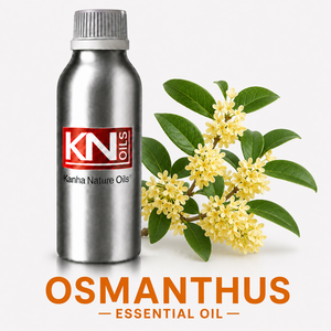 น้ำมันหอมระเหยดอกหอมหมื่นลี้บริสุทธิ์สูง 100% ออร์แกนิคแท้ ได้รับการรับรอง Osmanthus fragrans ผู้ผลิตขายส่งทั่วโลก ผู้ส่งออก - Product Image 1