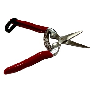 <b>JACK</b> WORTH Stainless Steel Long-Nose Fruit <b>Scissor</b> with Metal Handle for Garden Use - Product Image 2