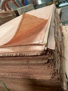 ไม้อัดบินตังกอร์ขาย - ไม้อัดราคาแข่งขันดีที่สุด - ไม้อัดสำหรับใช้ภายในและภายนอก - Product Image 2