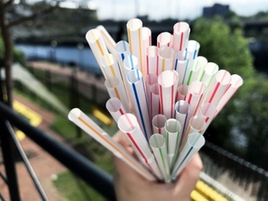 Wholesale Factory Direct PP Disposable Drinking Straws Individually <b>Wrapped</b> Custom <b>Plastic</b> Bubble Tea Straws for Smoothie - Product Image 4