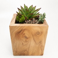 Jardinière en bois de teck faite à la main, écologique, pour plantes succulentes, pot de fleurs carré en bois massif naturel, décoration de jardin intérieur/extérieur, pour table