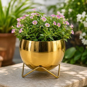 Maceta Decorativa de Metal Dorado para Plantas de Interior y Exterior, Hogar, Jardín, Balcón, Patio - Product Image 6