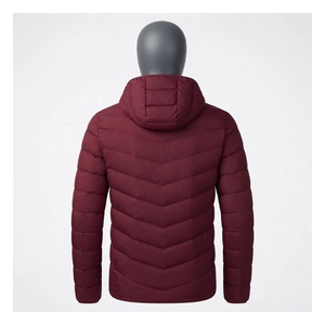 Chaqueta de Invierno para Hombre con Capucha, Acolchada, Casual, Cálida, Resistente al Agua, con Cierre Completo, Alternativa a la Chaqueta de Plumón - Product Image 2
