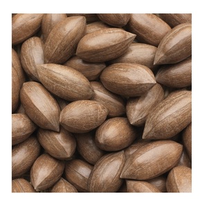 Nueces de Pecana/Nueces de Pecana Orgánicas Tostadas Saludables en venta a precio económico/Nueces de Pecana Tostadas y Saladas de Alta Calidad - Product Image 1