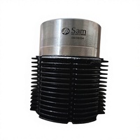 Kit Cylindre et Piston Moteur Diesel Tuk Tuk BS4 Refroidi par Air, Pièces Robustes pour Tricycle, Alésage 86mm, Segment de Piston SAM pour la Tanzanie