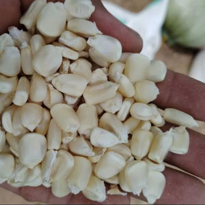 Excelente Opción, Precio Económico, Semillas de Maíz Ceroso Orgánicas Secas para Cocina Saludable, Cereales, Industria de Snacks, Exportación a Granel y Venta al Por Mayor - Product Image 1