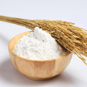 Materia prima Vital Gluten de Trigo para Seitán - Product Image 4