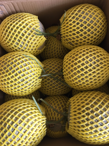 Melón Cantalupo Fresco de Vietnam al Mejor Precio y MOQ Bajo |   Aroma dulce y pulpa jugosa |   Exportación al por Mayor - Sra. Tarina - Product Image 5