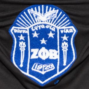 Sudadera Negra de Chenille de la Hermandad Zeta Phi Beta para Mujer, Diseño con Letras Griegas en la Espalda, Talla Real, Sudadera Cómoda para Hermanas - Product Image 6