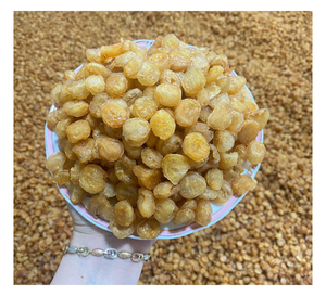 Longan deshidratado hecho en Vietnam para compradores mayoristas que buscan una fábrica confiable con capacidad de producción a gran escala y consistencia en la calidad. - Product Image 1