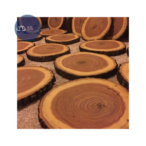 Los Más Vendidos: Posavasos de Madera Ecológicos y Sostenibles Glory con Asa, Forma Pulida, para Escritorio de Oficina - Product Image 2