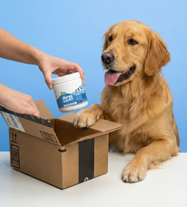 Friandises à Mâcher Naturelles pour Chiens : Soutien Cutané et Pelliculaire, Soulagement des Démangeaisons, Renforcement Immunitaire, Complément Alimentaire Premium pour Animaux - Product Image 6