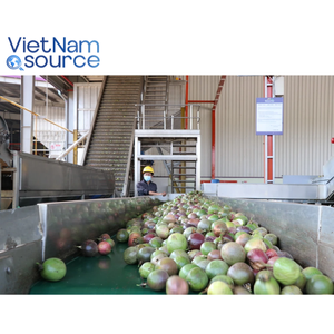 Top Tendance 2025 Fruit de la passion-Fruit de la passion léger, doux et juteux 100% Naturel du Vietnam pour les boissons saines et le marché frais - Product Image 4