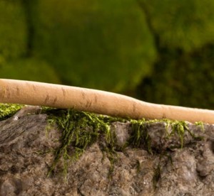 HerboGate Crystal Natural Miswak, Barra Herbal Orgánica Ecológica para Limpieza Dental, Blanqueamiento, Aliento Fresco, Higiene Dental Antibacteriana - Product Image 5