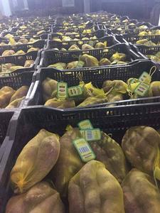 มันเทศแช่แข็ง IQF แบบชิ้น รสหวานธรรมชาติ สำหรับธุรกิจบริการอาหาร ขายส่งจำนวนมาก ผู้จัดจำหน่ายส่งออกเวียดนาม - Product Image 6