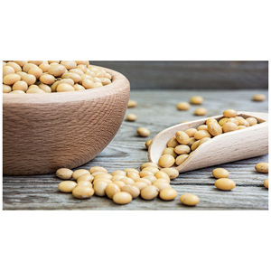 ACHETER en gros des fèves de soja biologiques non OGM de qualité supérieure, fèves de soja jaunes riches en protéines - Product Image 5