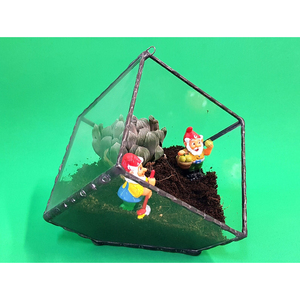 Terrario Geométrico Moderno de Vidrio Negro para Plantas, Contenedor para Oficina, Balcón, Ventana, Jardín, Exhibición de Flores, Caja Decorativa - Product Image 6