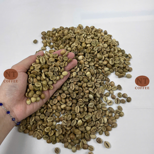 Offre Spéciale : Grains de Café Vert Robusta Origine Vietnam, Traitement Naturel, Haute Teneur en Caféine, Qualité Export, Vente en Gros pour Torréfacteurs - Product Image 1